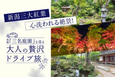 紅葉ドライブバナー