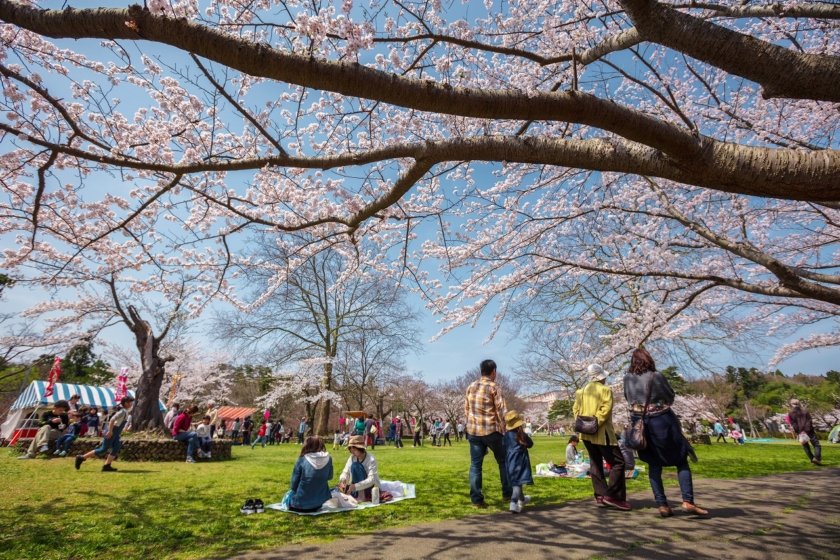 赤坂公園／千葉県／成田市／桜／花見／BBQ／バーベキューレンタル／配達／