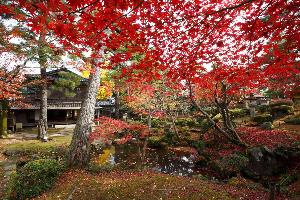 【サンプル】いま注目の観光スポット ―かしわざき三園めぐり