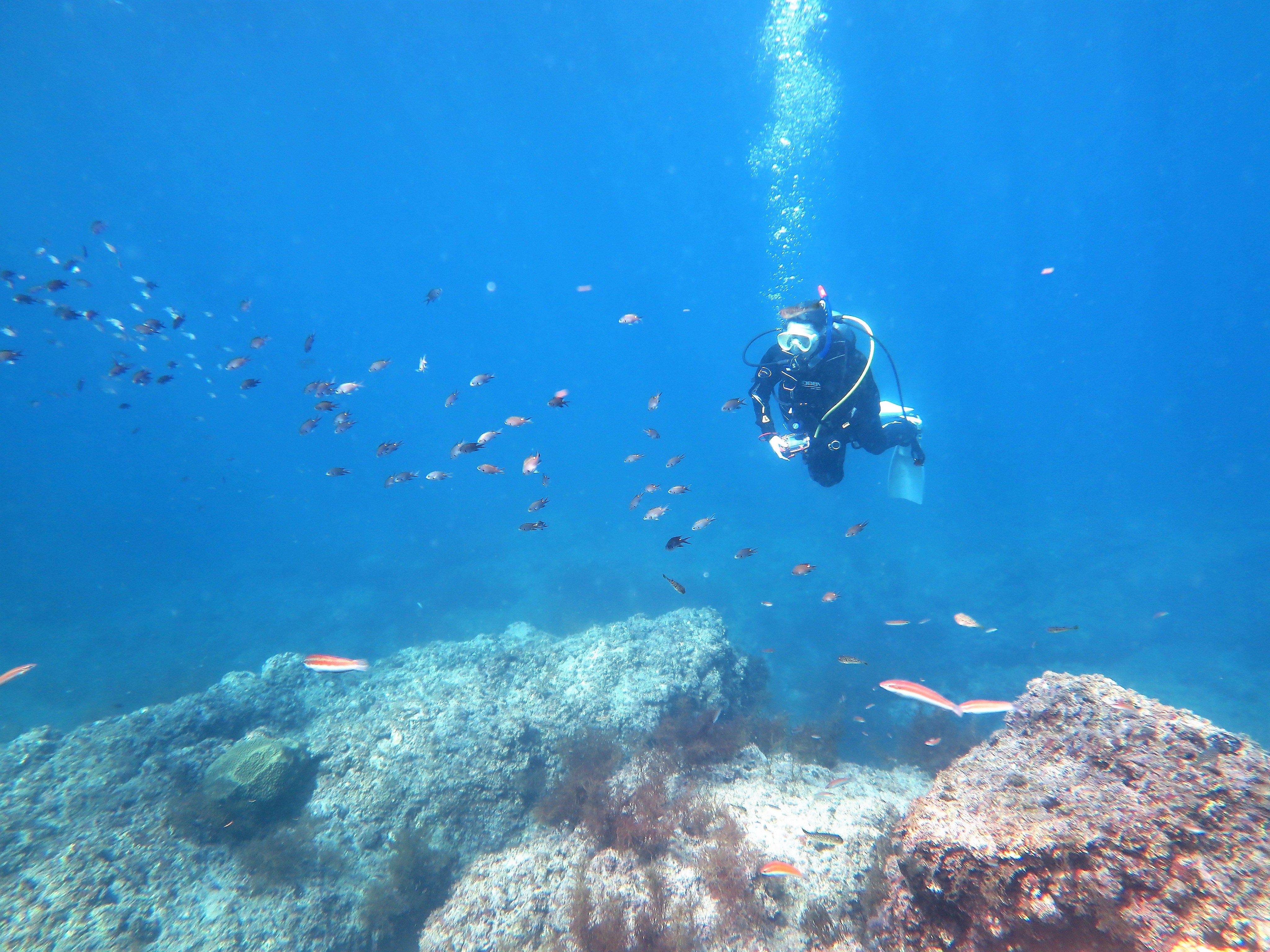 ダイビングのグッズ10点 柏崎のお店紹介 vol.28】新潟県柏崎市にある日本海のダイビング屋さん