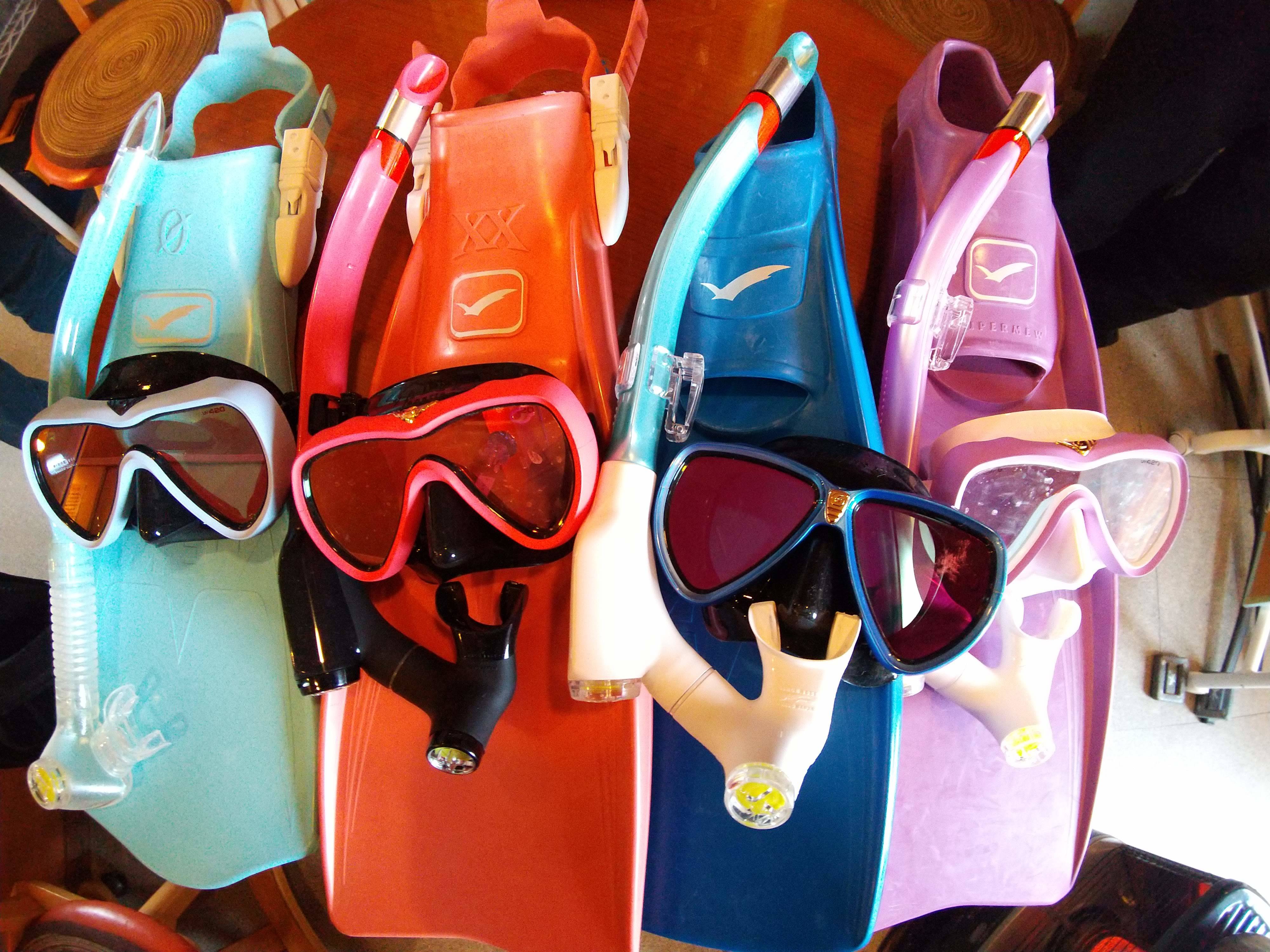 柏崎のお店紹介 vol.28】新潟県柏崎市にある日本海のダイビング屋さん