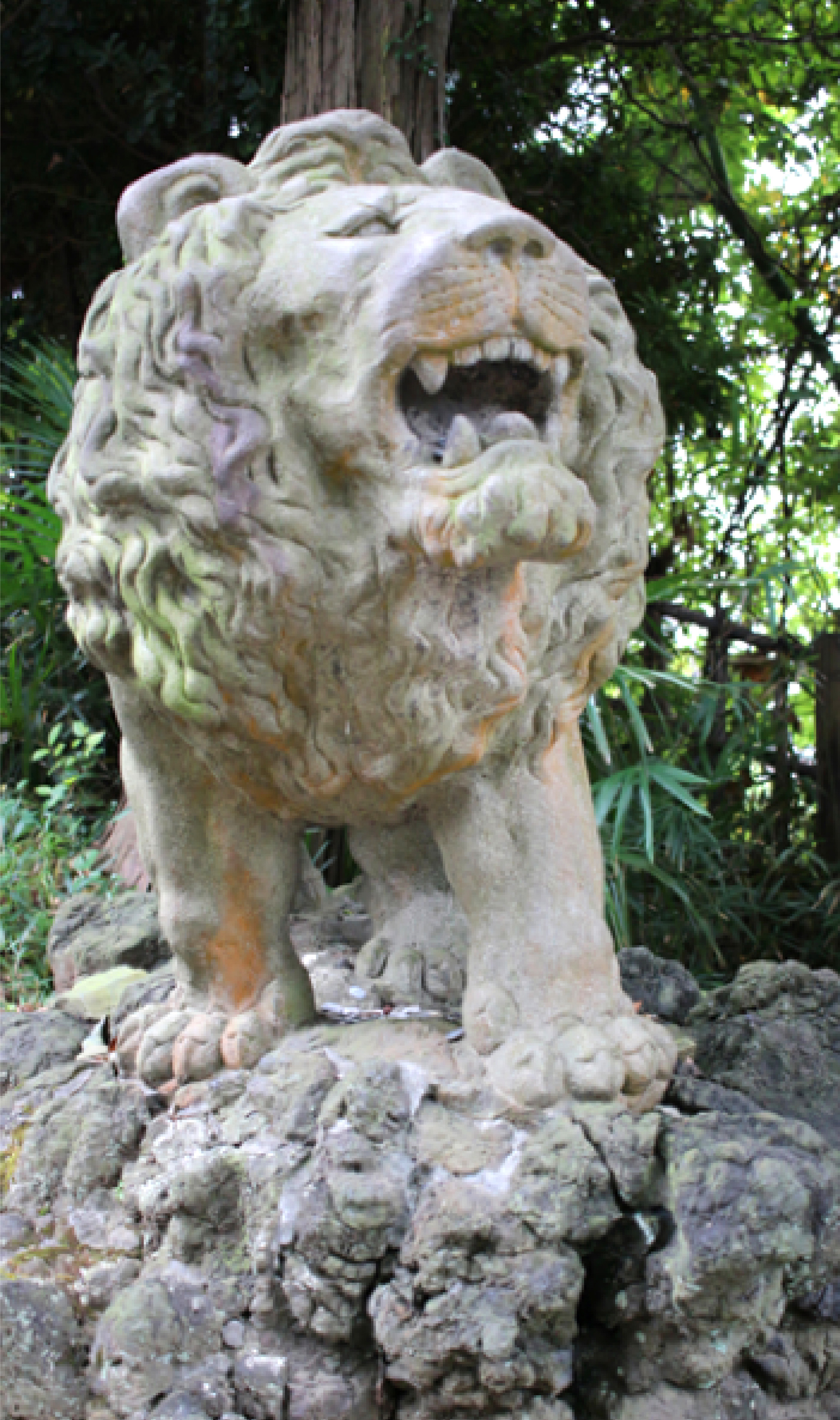 小川由廣のライオンたち【16.茨城県日立市 神峰神社】｜レポート｜柏崎